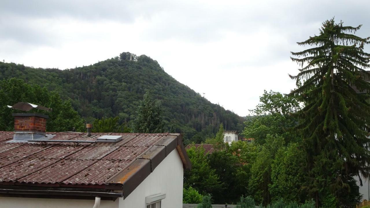 Ferienwohnung Loma Bad Harzburg Exteriér fotografie
